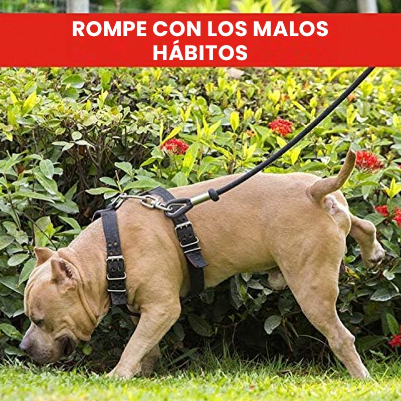 EDUCADOR REPELENTE PARA PERROS Y GATOS